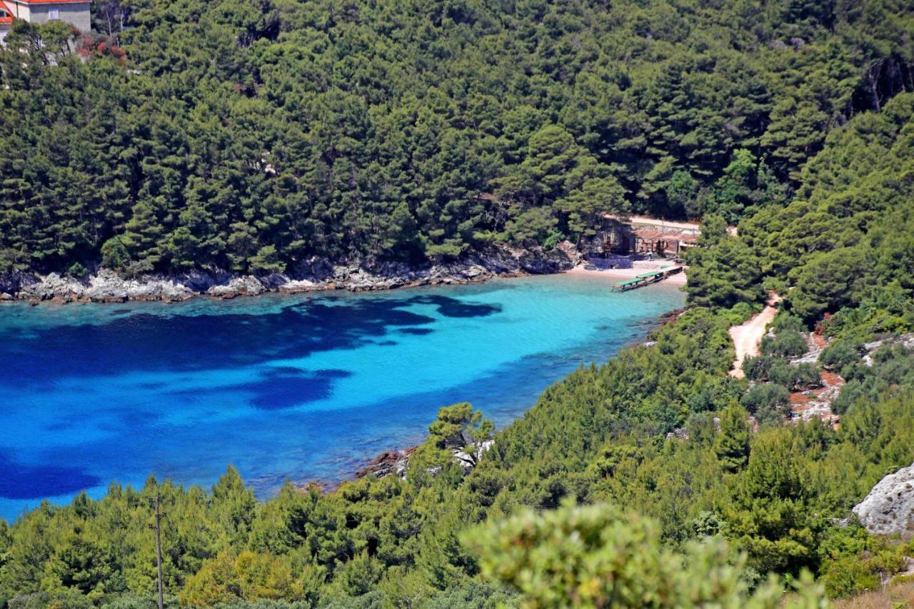 Apartments By The Sea Luka Dubrava, Peljesac - 284 Janjina Exterior photo