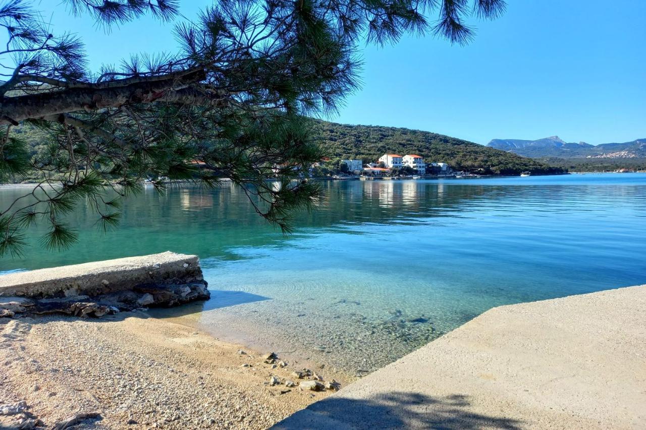 Apartments By The Sea Luka Dubrava, Peljesac - 284 Janjina Exterior photo